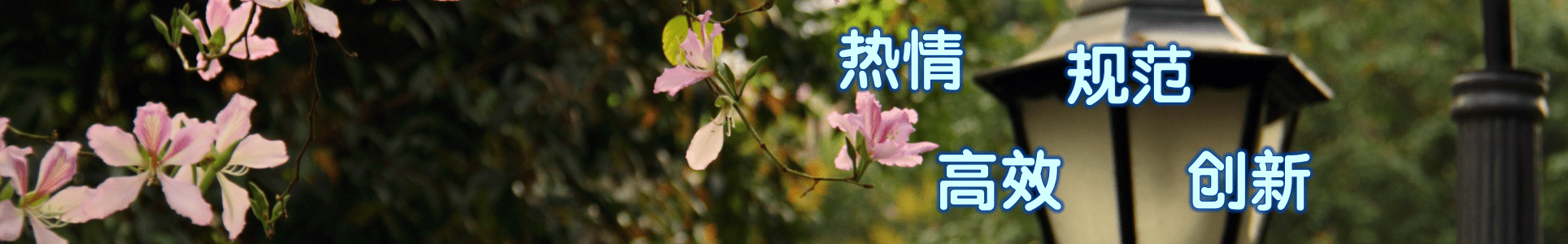 bevictor伟德